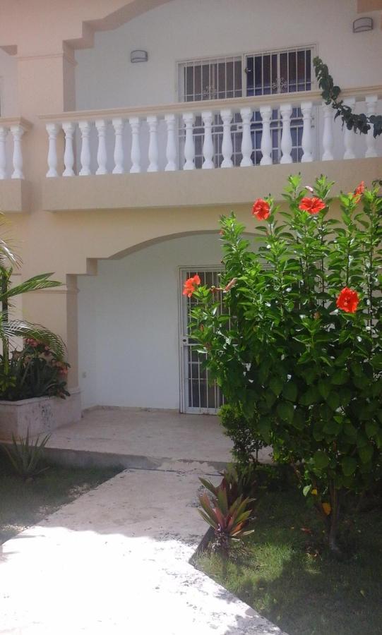 Residencial Las Palmeras De Willy 보카치카 외부 사진